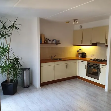 Ruim Midden In Het Centrum